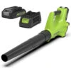 Greenworks 24 Volt Accu Bladblazer Met 2.0 Ah Accu En Lader