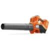 Husqvarna Accu Bladblazer 120iB Incl Accu En Lader