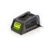 Greenworks Acculader 24Volt